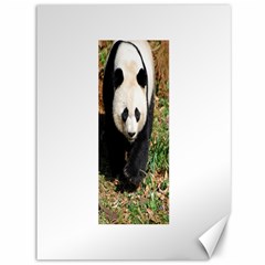 Giant Panda Canvas 36  X 48  (unframed) by AnimalLover