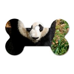 Giant Panda Dog Tag Bone (one Sided) by AnimalLover