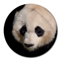 Adorable Panda 8  Mouse Pad (round) by AnimalLover