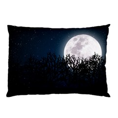 Night Time Landscape Pillow Case by Contest1759207