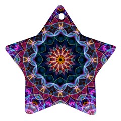 Purple Lotus Star Ornament by Zandiepants