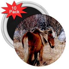 Pretty Pony 3  Button Magnet (10 Pack) by Rbrendes