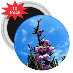 Pink Flower 3  Button Magnet (10 Pack) by Rbrendes