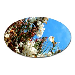 Australia Flowers Magnet (oval) by Rbrendes