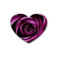 Deep Purple Rose Drink Coasters (heart) by Colorfulart23