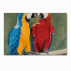 Feathered Friends Postcard 4 x 6  (10 Pack) by TonyaButcher