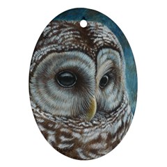 Barred Owl Oval Ornament (two Sides) by TonyaButcher