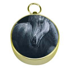 Equine Grace  Gold Compass by TonyaButcher