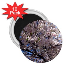 Sakura Tree 2 25  Button Magnet (10 Pack) by DmitrysTravels
