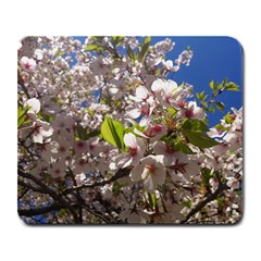 Cherry Blossoms Large Mouse Pad (rectangle) by DmitrysTravels