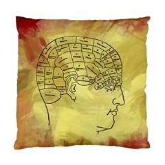 Brain Map Cushion Case (two Sided)  by StuffOrSomething