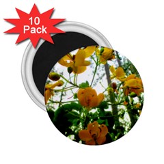 Yellow Flowers 2 25  Button Magnet (10 Pack) by SaraThePixelPixie