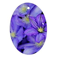 Purple Wildflowers For Fms Oval Ornament by FunWithFibro