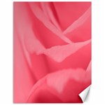 Pink Silk Effect  Canvas 18  x 24  (Unframed)