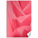 Pink Silk Effect  Canvas 24  x 36  (Unframed)