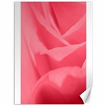 Pink Silk Effect  Canvas 36  x 48  (Unframed)