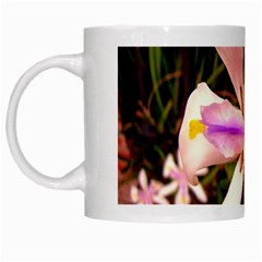 African Iris White Coffee Mug by sirhowardlee