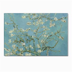 Vincent Van Gogh, Almond Blossom Postcard 4 x 6  (10 Pack) by Oldmasters