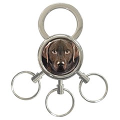 Chocolate Lab 3-ring Key Chain by LabsandRetrievers