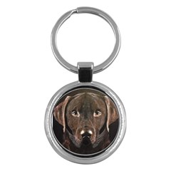 Chocolate Lab Key Chain (round) by LabsandRetrievers