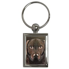 Chocolate Lab Key Chain (rectangle) by LabsandRetrievers