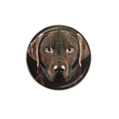 Chocolate Lab Golf Ball Marker 4 Pack (for Hat Clip) by LabsandRetrievers