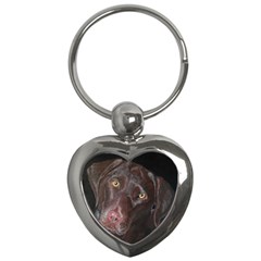 Inquisitive Chocolate Lab Key Chain (heart) by LabsandRetrievers
