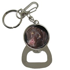 Inquisitive Chocolate Lab Bottle Opener Key Chain by LabsandRetrievers