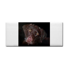 Inquisitive Chocolate Lab Hand Towel by LabsandRetrievers