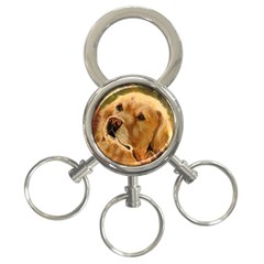 Golden Retriever 3-ring Key Chain by LabsandRetrievers