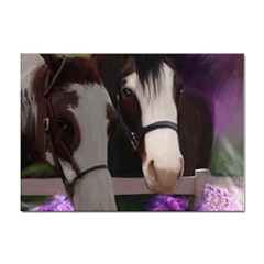 Two Horses A4 Sticker 10 Pack