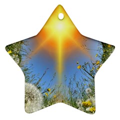 Dandelions Star Ornament