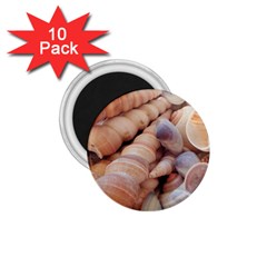 Seashells 3000 4000 1 75  Button Magnet (10 Pack) by yoursparklingshop