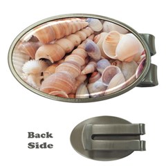 Seashells 3000 4000 Money Clip (oval) by yoursparklingshop