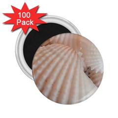 Sunny White Seashells 2 25  Button Magnet (100 Pack) by yoursparklingshop