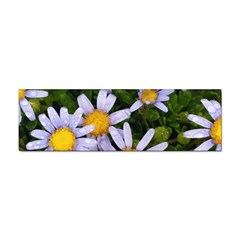 Yellow White Daisy Flowers Bumper Sticker 10 Pack by yoursparklingshop
