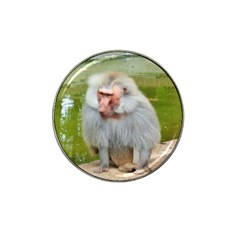 Grey Monkey Macaque Golf Ball Marker 4 Pack (for Hat Clip) by yoursparklingshop