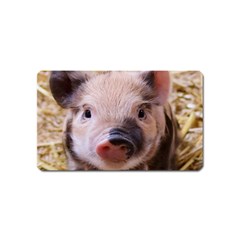 Sweet Piglet Magnet (name Card)