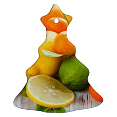 Citrus Fruits Christmas Tree Ornament (2 Sides) by emkurr