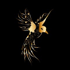 Beautiful Bird In Gold And Black Canvas 20  X 20  