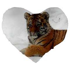 Tiger 2015 0101 Large 19  Premium Heart Shape Cushions by JAMFoto