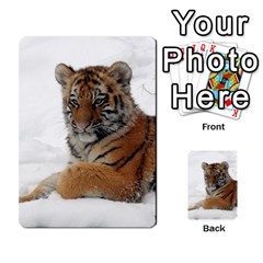 Tiger 2015 0101 Multi-purpose Cards (rectangle)  by JAMFoto