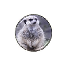 Adorable Meerkat 03 Hat Clip Ball Marker by ImpressiveMoments