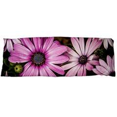 Beautiful Colourful African Daisies  Body Pillow Cases (dakimakura)  by OZMedia