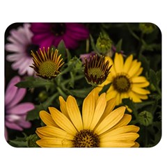 Beautiful Colourful African Daisies  Double Sided Flano Blanket (medium)  by OZMedia