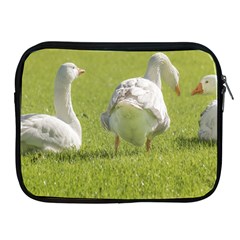 Group Of White Geese Resting On The Grass Apple Ipad 2/3/4 Zipper Cases by dflcprints