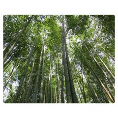 Bamboo Grove 1 Double Sided Flano Blanket (medium)  by trendistuff