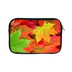 Autumn Leaves 1 Apple Ipad Mini Zipper Cases by trendistuff