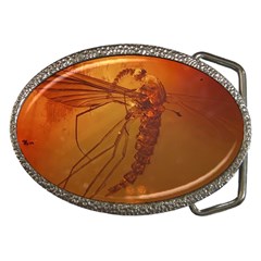 Mosquito In Amber Belt Buckles by trendistuff