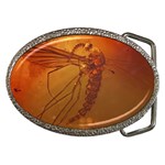 MOSQUITO IN AMBER Belt Buckles Front